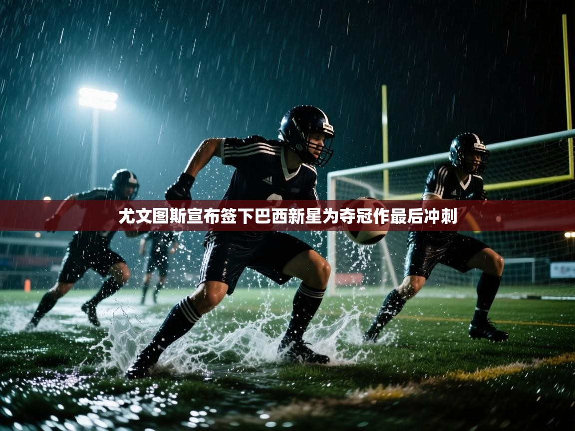 爱游戏体育app-尤文图斯宣布签下巴西新星为夺冠作最后冲刺 第3张