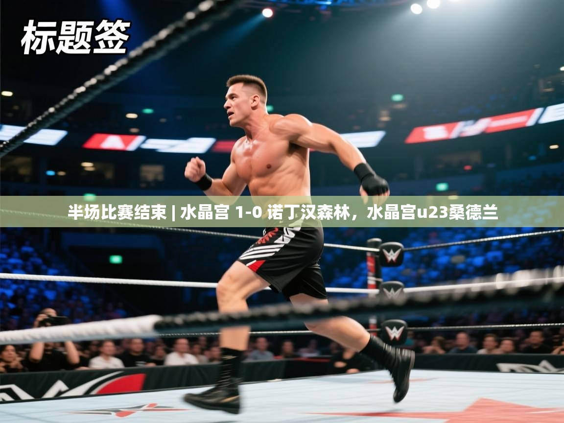 爱游戏厅下载-半场比赛结束 | 水晶宫 1-0 诺丁汉森林，水晶宫u23桑德兰  第1张