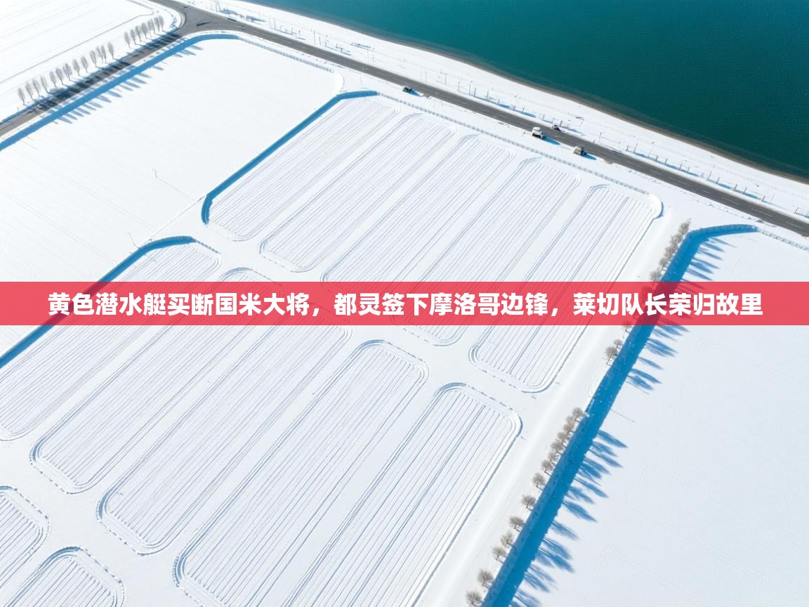 爱游戏体育娱乐-黄色潜水艇买断国米大将,都灵签下摩洛哥边锋,莱切队长荣归故里 第2张