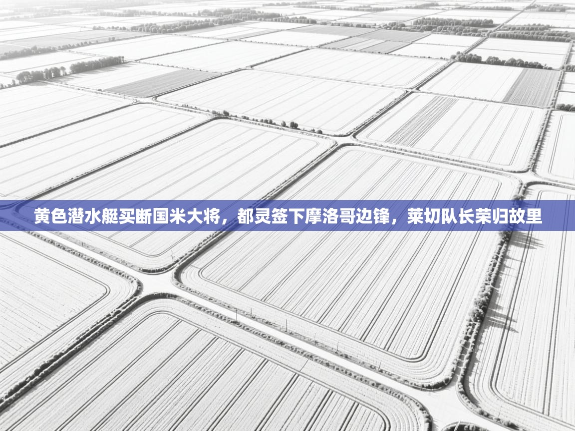 爱游戏体育娱乐-黄色潜水艇买断国米大将,都灵签下摩洛哥边锋,莱切队长荣归故里 第3张