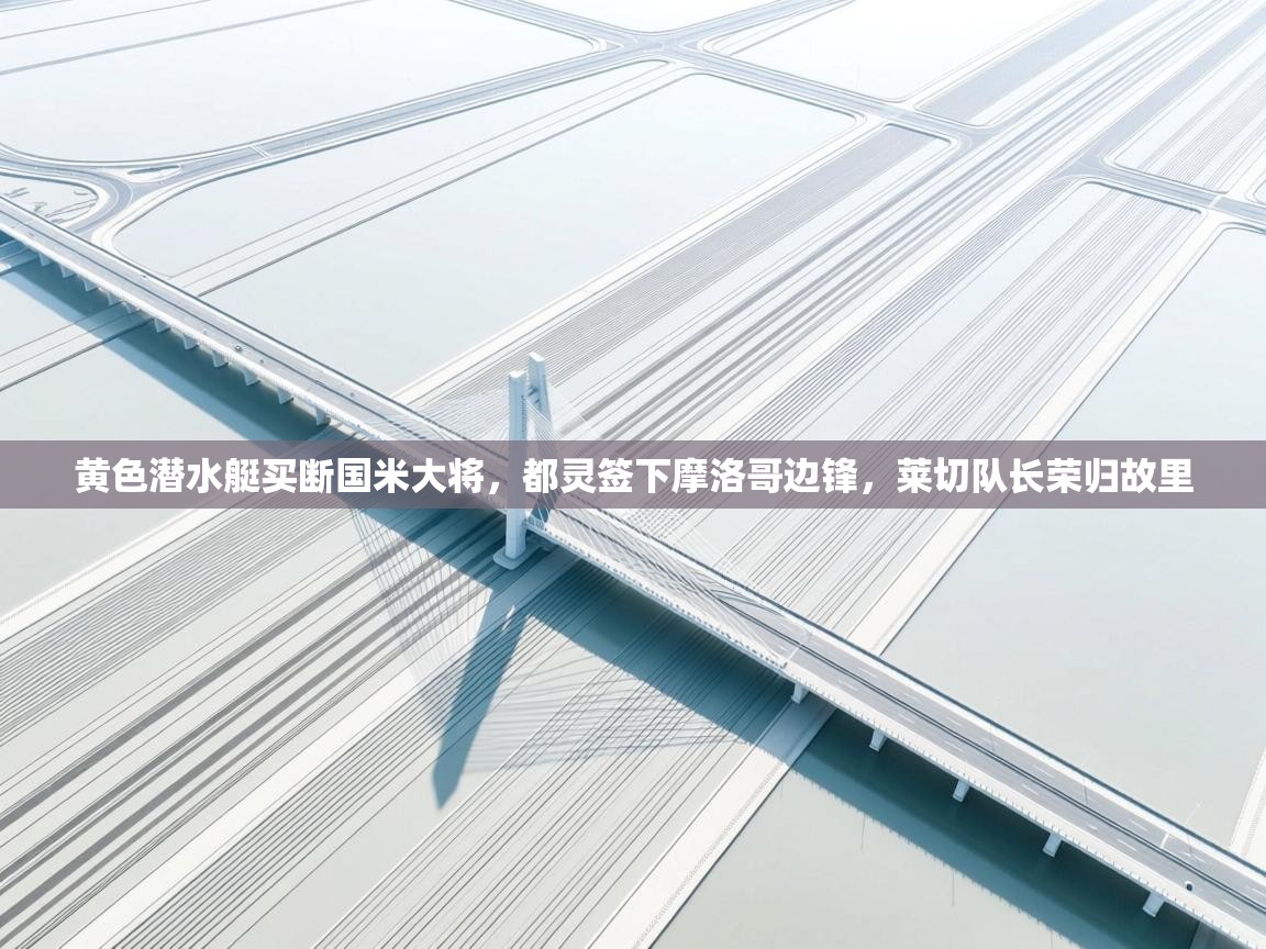 爱游戏体育娱乐-黄色潜水艇买断国米大将,都灵签下摩洛哥边锋,莱切队长荣归故里 第4张