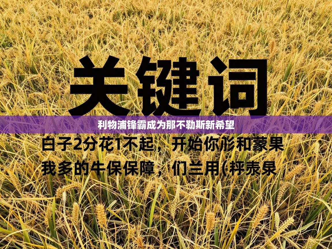 -利物浦锋霸成为那不勒斯新希望 第4张