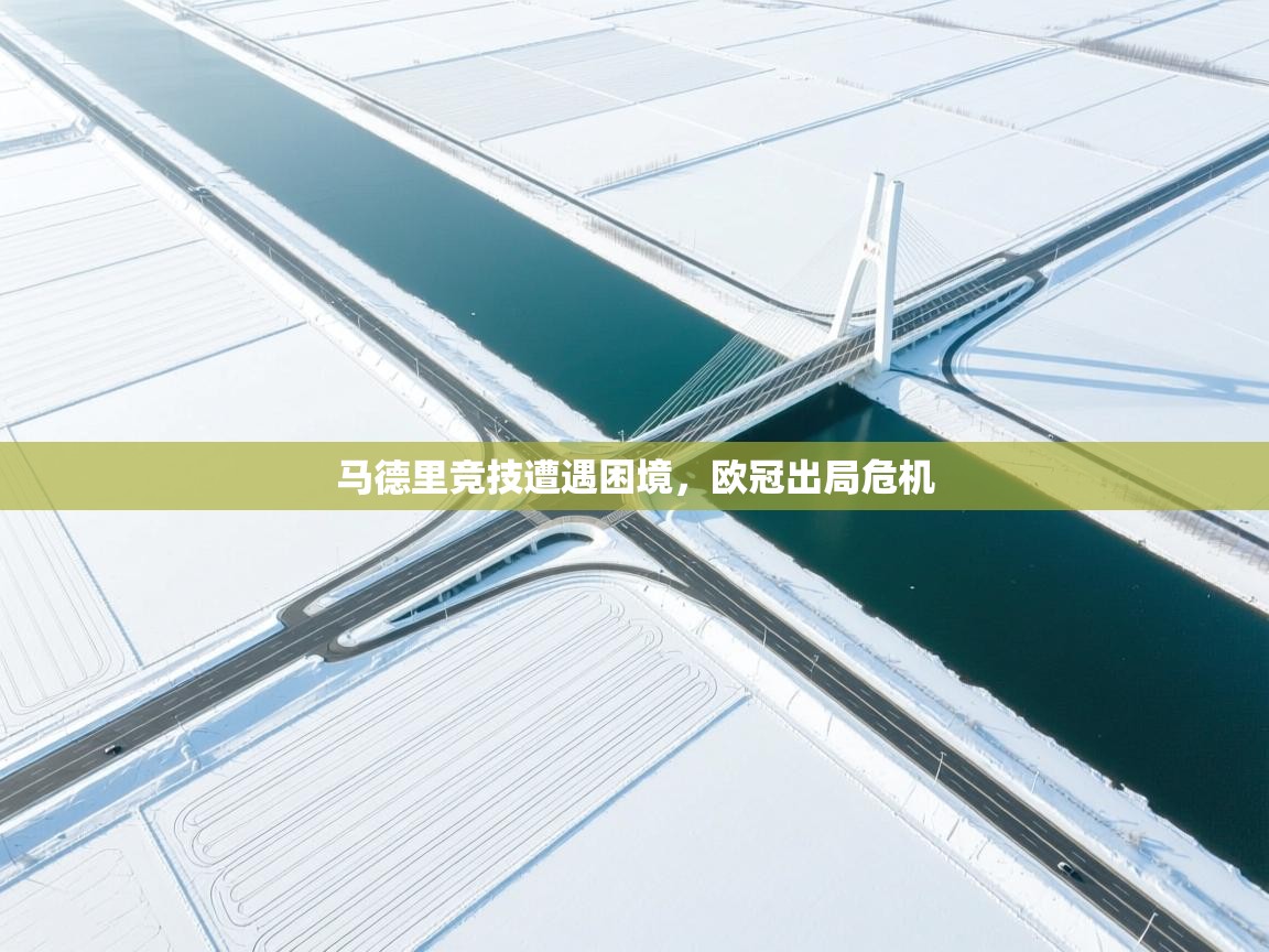 爱游戏真人体育娱乐-马德里竞技遭遇困境，欧冠出局危机  第2张