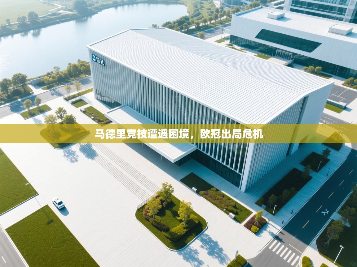 爱游戏真人体育娱乐-马德里竞技遭遇困境，欧冠出局危机  第3张