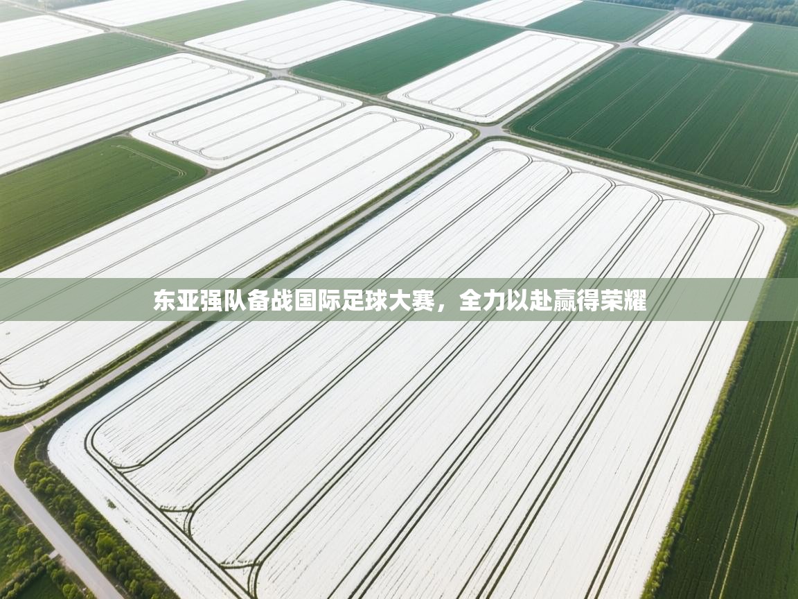 爱游戏平台-东亚强队备战国际足球大赛，全力以赴赢得荣耀  第1张
