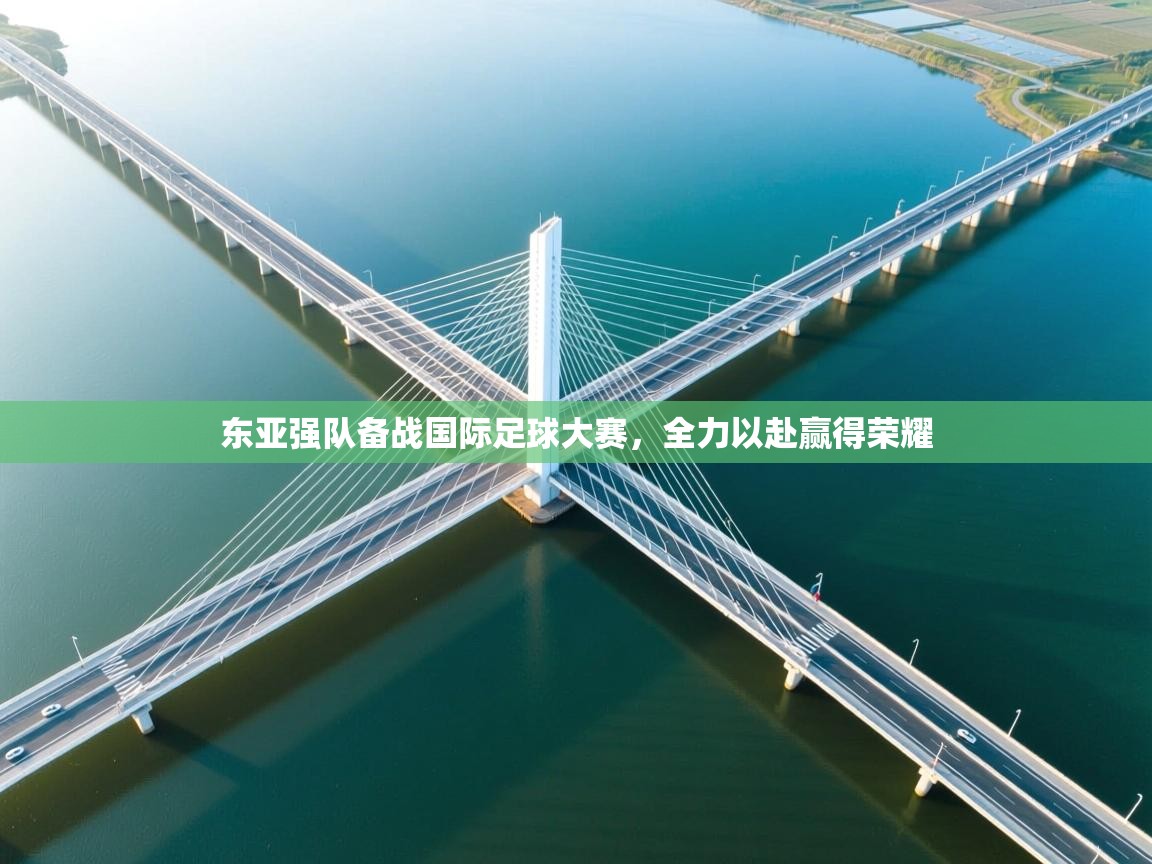 爱游戏平台-东亚强队备战国际足球大赛，全力以赴赢得荣耀  第2张