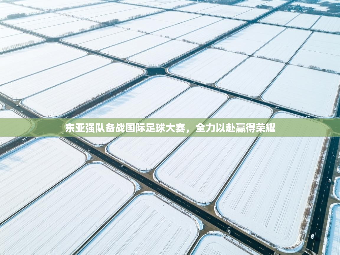 爱游戏平台-东亚强队备战国际足球大赛，全力以赴赢得荣耀  第3张