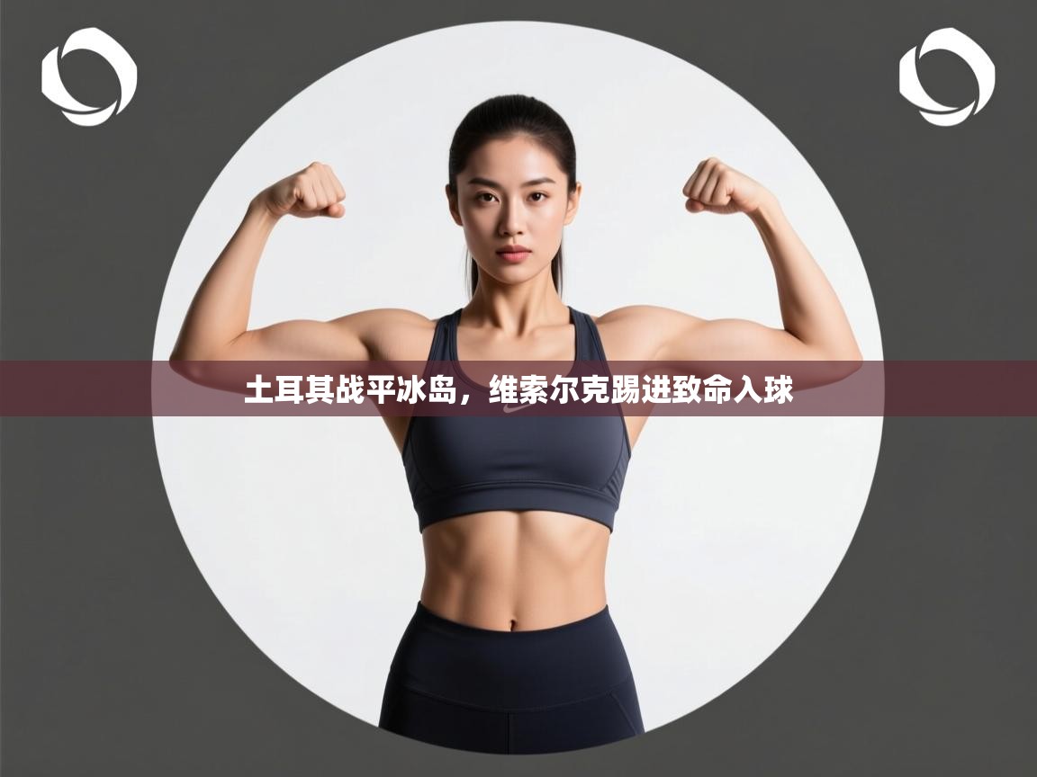 -土耳其战平冰岛，维索尔克踢进致命入球  第3张