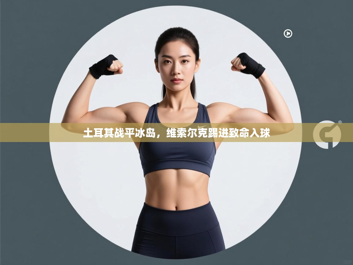 -土耳其战平冰岛，维索尔克踢进致命入球  第4张