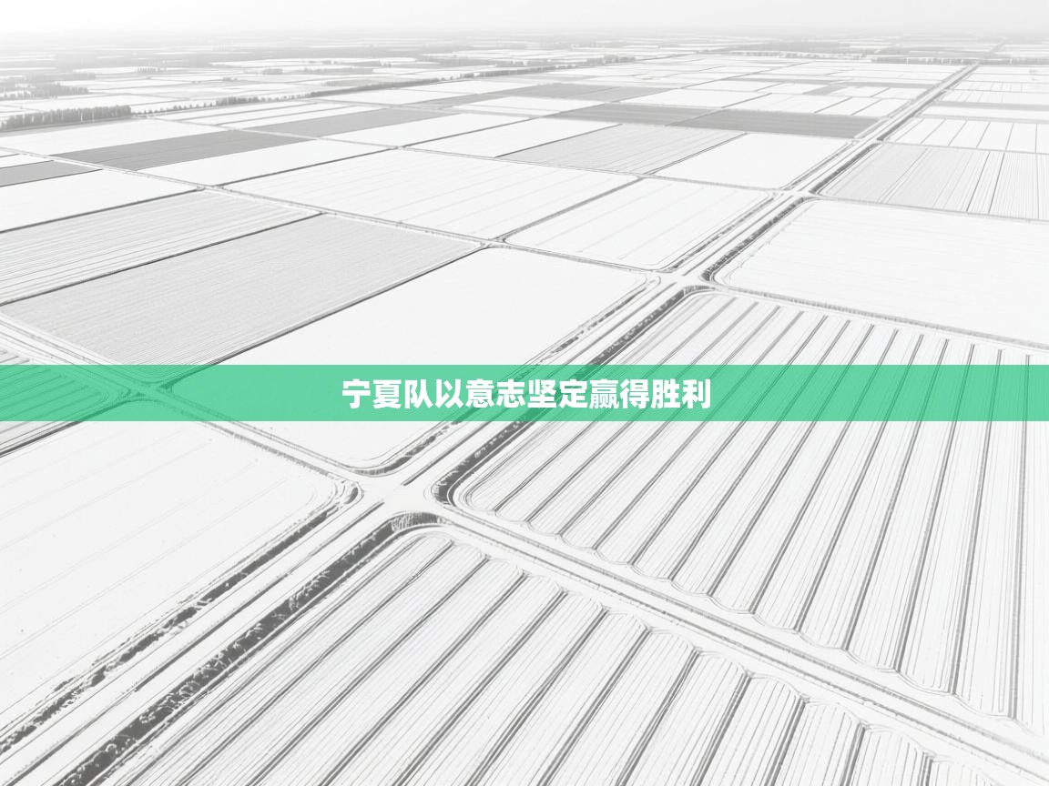 爱游戏体育-宁夏队以意志坚定赢得胜利  第3张