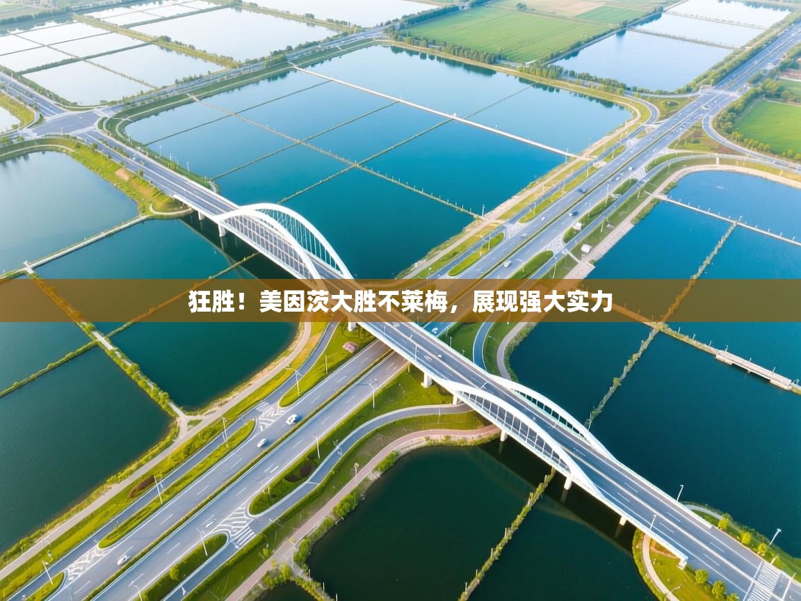 爱游戏体育下载-狂胜！美因茨大胜不莱梅，展现强大实力