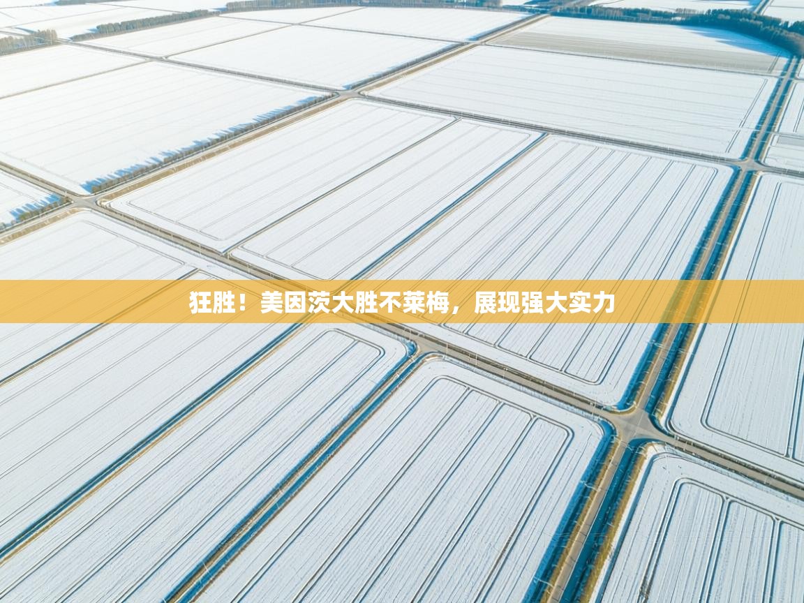 爱游戏体育下载-狂胜！美因茨大胜不莱梅，展现强大实力  第4张